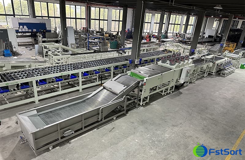 images/1680157937881Kumquat sorter.jpg